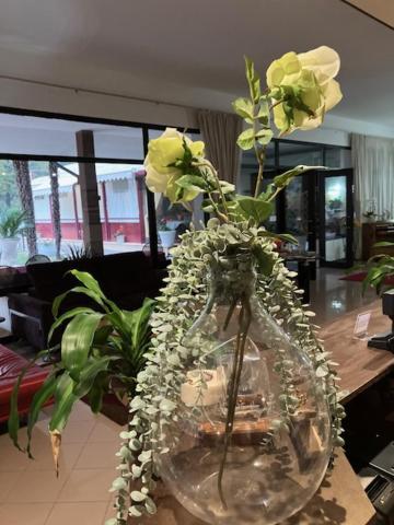 Rey's Hotel Montegrotto Terme
